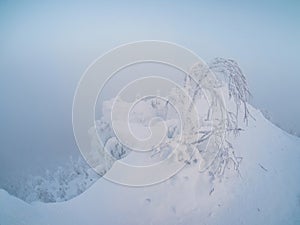 Ethereal winter minimalistic landscape in the morning