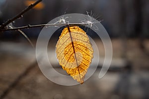 Ethereality and lightness