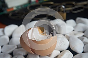Ethereum coin in broken eggshell