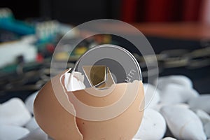 Ethereum coin in broken eggshell