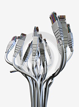 Ethernet Abstract Bouquet
