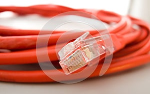 Ethernet Cable & Plug photo