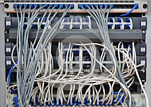 Ethernet cables connected to computer internet server