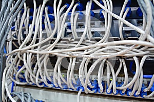 Ethernet cables connected to computer internet server