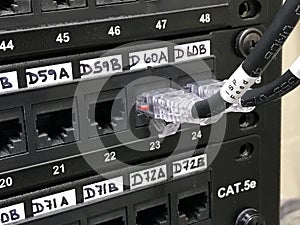 Ethernet cables connected to ports on numerated patch panels photo