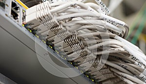 Ethernet cables connected to a switch