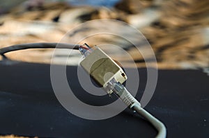 Ethernet Cables Plugged In