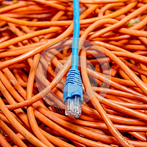Ethernet cables tangled blue and orange