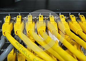 Ethernet RJ45 cables are connected to internet switch