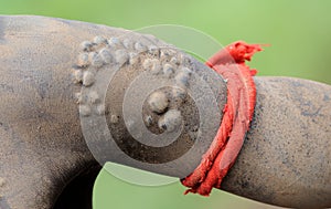 Ethiopian body scarification