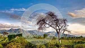 Ethiopian landscape near Arba Minch, Ethiopia