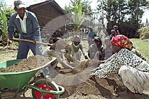 Ethiopian people work in reforestation project