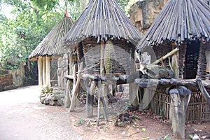 Ethiopian style huts- Africa