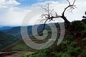 Ethiopian valley high lands Simean Wollo, Amhara, Ethiopia