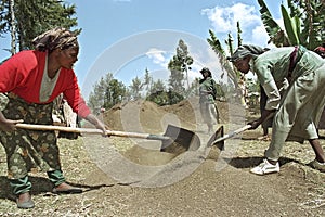 Ethiopian women work in reforestation project