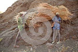 Ethiopians with hay bundles