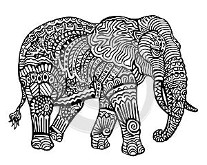 Ethnic Animal Doodle Detail Pattern - Elephant Zentangle Illustratio