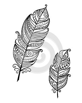 Ethnic bird feathers in boho style. Black and white inc vector hand drawn, tribal gipsy concept.