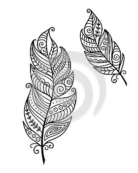 Ethnic bird feathers in boho style. Black and white inc vector hand drawn, tribal gipsy concept.
