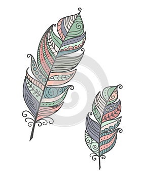 Ethnic bird feathers in boho style. Pastel colors vector hand drawn, tribal gipsy concept.