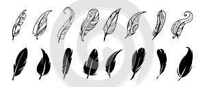 Ethnic and black feathers. Simple indian tribal feather graphic soft symbols, feathered sketch drawns