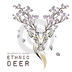 Ethnic colored head of deer with branches on the horns. totem / tattoo design. Use for print, posters, t-shirts. Vector illustrati photo