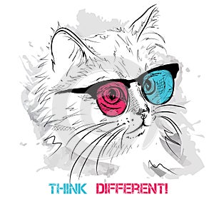 Ethnic hand drawing head of cat in the colored glasses. It can be used for print, posters, t-shirts. Vector illustration