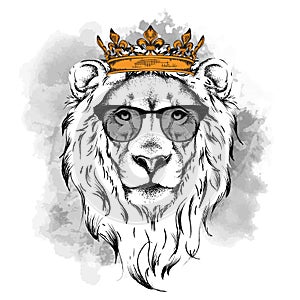 Ethnic hand drawing head of lion wearing crown and in the glasses. It can be used for print, posters, t-shirts. Vector illustratio