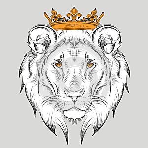 Ethnic hand drawing head of lion wearing a crown. totem / tattoo design. Use for print, posters, t-shirts. Vector illustration