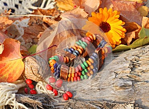 Ethnic handmade bone bracelet with calendula