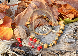 Ethnic handmade bone necklace