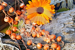 Ethnic handmade woodeny necklace and calendula