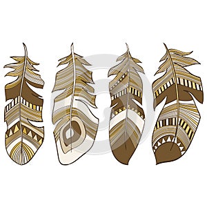 Ethnic Indian feathers plumage