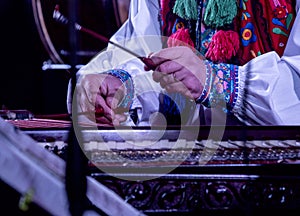 Ethnic musician instrument