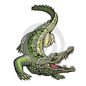 Ethnic ornamented alligator or crocodile. Hand drawn vector illustration with decorative elements