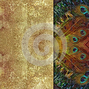 ethnical background, golden stone and peacock fathers