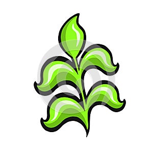 ethnically stylized green young plant, vector