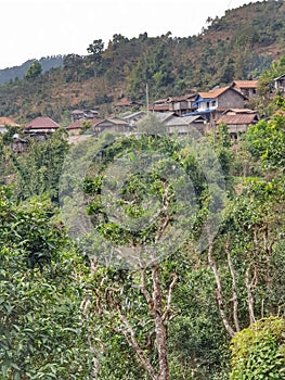 Ethnics Village houses at 400 years tea area of Phongsali province, Laos