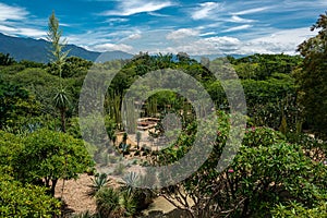 Ethnobotanical garden in Oaxaca, Mexico photo