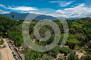 Ethnobotanical garden in Oaxaca, Mexico photo