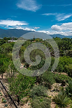 Ethnobotanical garden in Oaxaca, Mexico photo