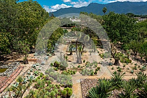 Ethnobotanical garden in Oaxaca, Mexico photo