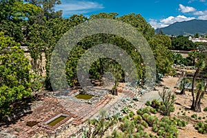 Ethnobotanical garden in Oaxaca, Mexico photo