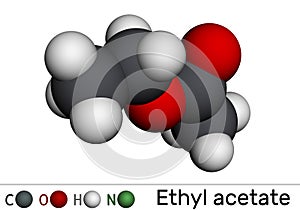 Ethyl acetate, ethyl ethanoate, C4H8O2 molecule. It is acetate ester formed between acetic acid and ethanol. Molecular model. 3D