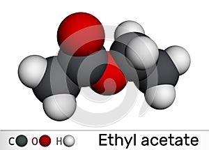 Ethyl acetate, ethyl ethanoate molecule. It is acetate ester, polar aprotic solvent, additional additive E1504. Molecular model.