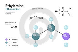 Ethylamine. Ethanamine. Structural Chemical Formula and 3d Model of Molecule. C2H7N. Atoms with Color Coding. Vector graphic