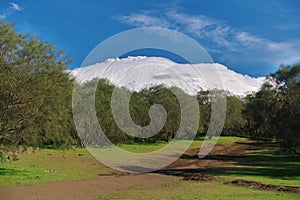 Etna Mount snow covered from Plain of Brooms, typical vegetation of Etna Park in Sicily