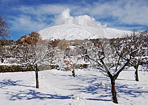 Etna Park Snowcovered Orchard, Sicily