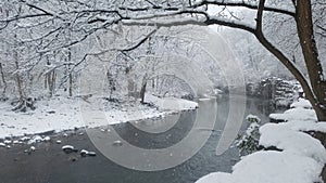Etobicoke creek trail view in winter photo