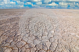Etosha pan, dry season in Namibia Africa. Dry summer landscape with blue sky and white clouds, White grey muddy lake. Summer